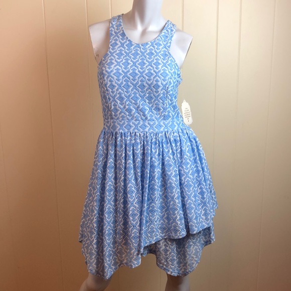 Altar'd State Dresses & Skirts - Altar’d State Blue White Lace Skater Dress